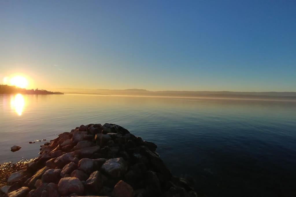 Lakefront. Appartement Pieds Dans L'Eau. View And Direct Access To The Lake. Anthy-sur-Leman Екстер'єр фото
