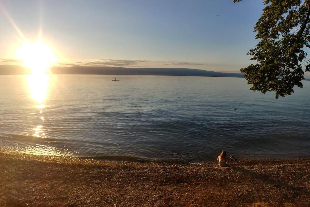 Lakefront. Appartement Pieds Dans L'Eau. View And Direct Access To The Lake. Anthy-sur-Leman Екстер'єр фото