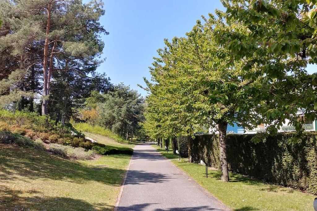 Lakefront. Appartement Pieds Dans L'Eau. View And Direct Access To The Lake. Anthy-sur-Leman Екстер'єр фото