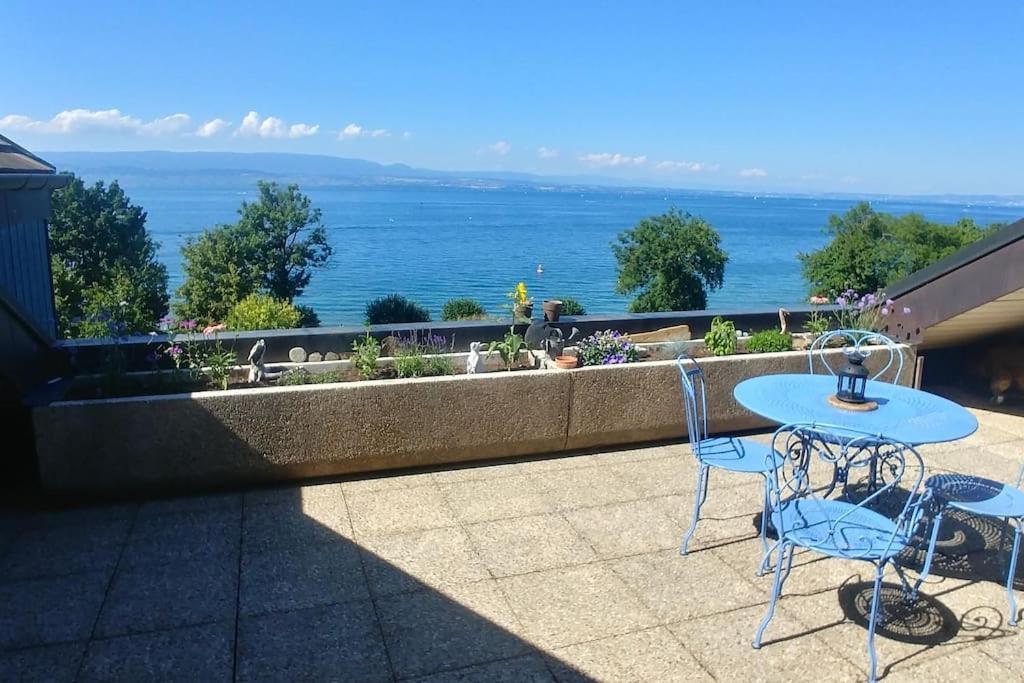 Lakefront. Appartement Pieds Dans L'Eau. View And Direct Access To The Lake. Anthy-sur-Leman Екстер'єр фото