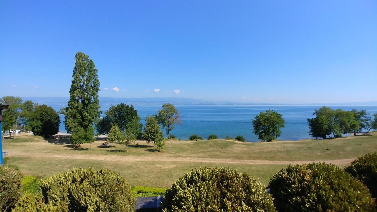 Lakefront. Appartement Pieds Dans L'Eau. View And Direct Access To The Lake. Anthy-sur-Leman Екстер'єр фото